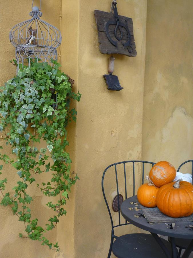L'Adele Bed & Breakfast Occimiano Bagian luar foto