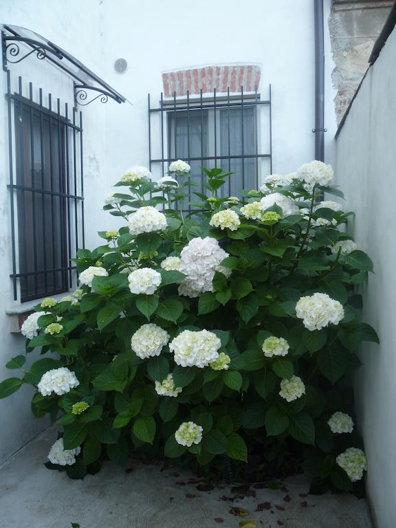 L'Adele Bed & Breakfast Occimiano Bagian luar foto