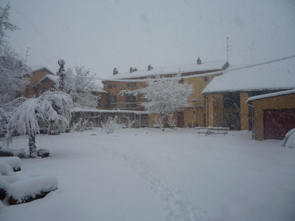 L'Adele Bed & Breakfast Occimiano Bagian luar foto