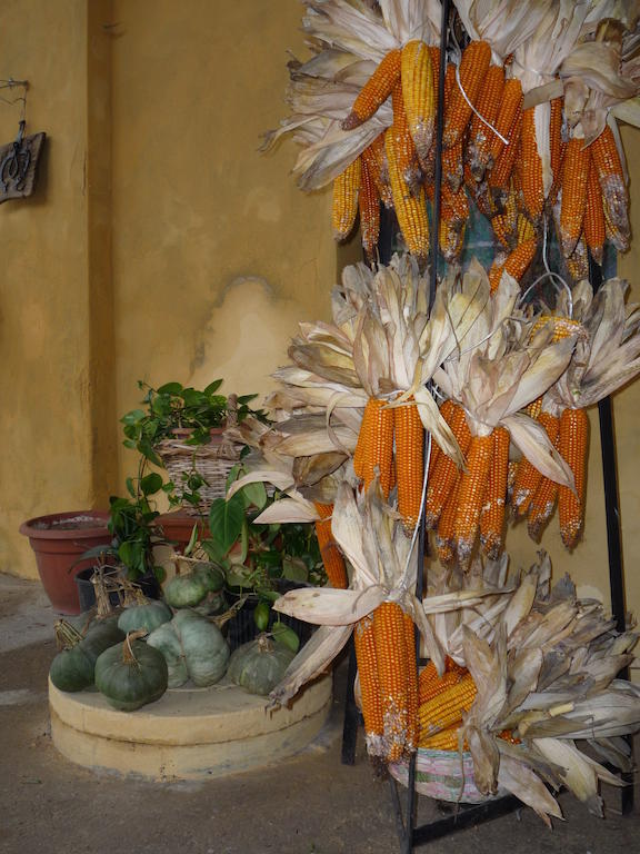 L'Adele Bed & Breakfast Occimiano Bagian luar foto