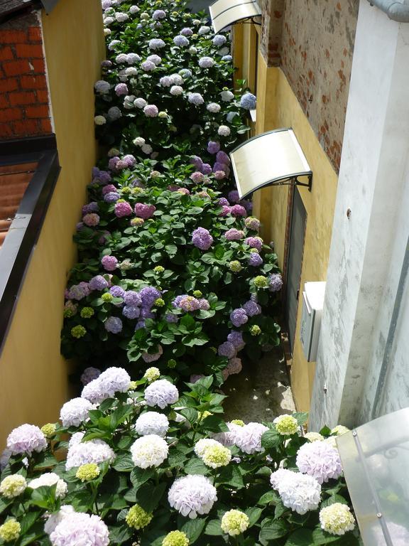 L'Adele Bed & Breakfast Occimiano Bagian luar foto