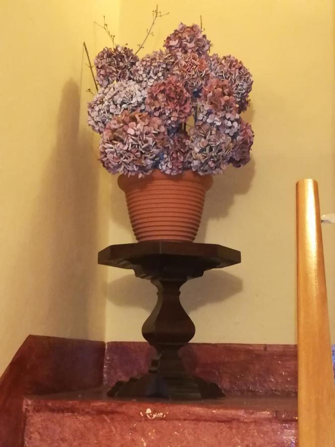 L'Adele Bed & Breakfast Occimiano Bagian luar foto